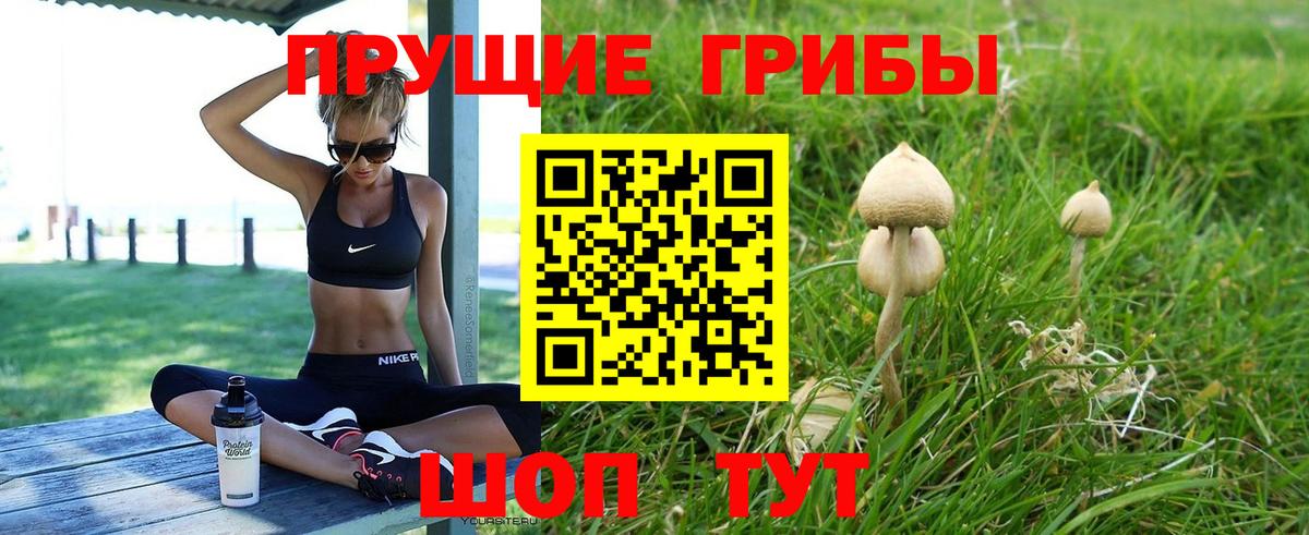 Псилоцибиновые грибы мицелий Крымск