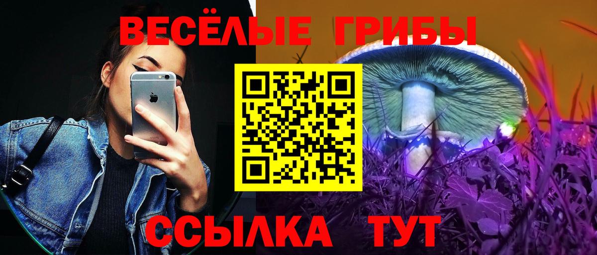 Галлюциногенные грибы Cubensis  Вход с VPN  Крымск 